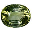 5.58 ct Oval (12.24 x 9.75 mm) Mozambique Natural Yellownish Green Tourmaline