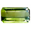 3.00 ct Octagon (11.48 x 6.25 mm) Mozambique Natural Bi Color Tourmaline