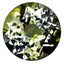 1.68 ct AIG Certified Round (7.51 x 7.45 mm) Natural Blue Yellow Tanzanite