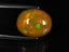 4.44 ct Oval Cabochon (12.69 x 10.09 mm) Play of Colors Rainbow Opal Stone