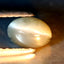 0.79 ct  Oval Cabochon (6.00 x 4.27 mm) Un-Heated Natural Alexandrite Cat's Eye