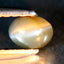 0.43 ct  Oval Cabochon (4.77 x 3.54 mm) Un-Heated Natural Alexandrite Cat's Eye