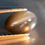 1.26 ct  Oval Cabochon (7.12 x 5.16 mm) Un-Heated Natural Alexandrite Cat's Eye