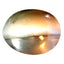 0.60 ct  Oval Cabochon (5.03 x 4.04 mm) Un-Heated Natural Alexandrite Cat's Eye