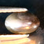 0.59 ct  Oval Cabochon (6.12 x 4.13 mm) Un-Heated Natural Alexandrite Cat's Eye