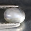 0.55 ct  Oval Cabochon (5.17 x 4.03 mm) Un-Heated Natural Alexandrite Cat's Eye