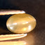 0.75 ct  Oval Cabochon (5.57 x 3.57 mm) Un-Heated Natural Alexandrite Cat's Eye