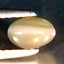 0.83 ct  Oval Cabochon (5.71 x 3.80 mm) Un-Heated Natural Alexandrite Cat's Eye