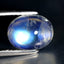 2.62 ct Terrific Oval Cabochon (8.84 x 6.96 mm) Natural Rainbow Blue Moonstone