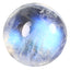1.47 ct Splendid Round Cabochon (7.13 x 7.09 mm) Rainbow Blue Moonstone