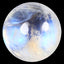 1.80 ct Round Cabochon (6.99 x 6.97mm) Natural Rainbow Blue Moonstone