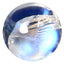 1.43 ct AAA Exquisite Round Cabochon(7.05 x 7.04 mm)Rainbow Blue Moonstone