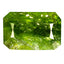 3.31 ct Octagon (10.71 x 7.02 mm) Nigeria Natural Grossular Garnet Gemstone