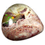 8.98 ct Pear Cabochon (17.59 x 16.03 mm) Natural Mexico Matrix Fire Opal