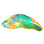5.10 ct Fancy (24.09 x 9.57 mm) Natural Play of Colors Welo Rainbow Opal