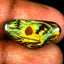 8.83 ct Dazzling Fancy (21.25 x 10.42mm) Natural Australian Boulder Opal