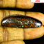 27.15 ct AIG Certified Fancy (43.10 x 13.60mm) Australia Boulder Opal