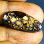 9.58 ct Romantic Fancy (26.08 x 11.71mm) Natural Australian Boulder Opal