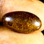 9.76 ct Incredible Fancy (18.13 x 9.75mm) Australian Koroit Boulder Opal