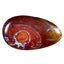 6.61 ct Amazing Fancy (20.69 x 12.13mm) Natural Australian Boulder Opal