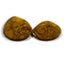 18.65 ct (2pcs) MATCHING PAIR 24 mm Fancy Natural Boulder Opal Gemstone