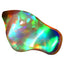 3.64 ct Fancy (14.85x8.70 mm) Unheated Natural Play of Colors Rainbow Opal