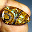 11.35 ct Fancy (26.00 x 16.34mm) Natural Australian Koroit Boulder Opal