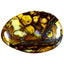 8.47 ct Fancy (20.46 x 14.22mm) Natural Australian Koroit Boulder Opal