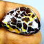 15.88 ct Fancy (23.42 x 16.98mm) Natural Australian Koroit Boulder Opal