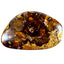 10.32 ct Superior Fancy (20.75 x 13.21mm) Natural Australian Boulder Opal