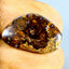 10.32 ct Superior Fancy (20.75 x 13.21mm) Natural Australian Boulder Opal