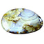 11.02 ct Romantic Fancy (24.29 x 15.37mm) Natural Australian Boulder Opal