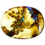 13.24 ct Fancy (22.13 x 16.86mm) Natural Australian Koroit Boulder Opal