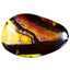 14.57 ct Fancy (21.90 x 14.25mm) Natural Australian Koroit Boulder Opal