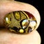 12.09 ct Fancy (17.51 x 11.91mm) Natural Australian Koroit Boulder Opal