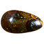 4.93 ct Terrific Fancy (15.34 x 8.68mm) Natural Australian Boulder Opal
