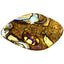 2.95 ct Impressive Fancy (16.34 x 9.84mm) Australian Koroit Boulder Opal