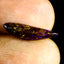 1.67 ct Phenomenal Fancy (16.40 x 4.41mm) Natural Australian Boulder Opal