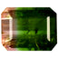 3.52 ct Octagon (10.17 x 7.99 mm) Unheated Natural Watermelon Tourmaline