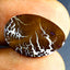 6.85 ct Fancy Cabochon (17.93 x 12.29mm) Natural Australian Boulder Opal