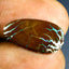 5.66 ct Fancy Cabochon (19.72 x 10.36mm) Natural Australian Boulder Opal