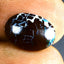 4.33 ct Fancy Cabochon (13.48 x 9.56mm) Natural Australian Boulder Opal