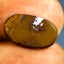 4.71 ct Fancy Cabochon(15.29 x 9.08mm) Natural Australian Boulder Opal