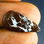 7.01 ct Pear Cabochon(21.52 x 11.27mm) Natural Australian Boulder Opal
