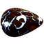 7.55 ct Pear Cabochon(16.44 x 11.47mm) Natural Australian Boulder Opal