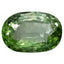 1.37 ct Oval (7.66 x 5.27 mm) Mozambique Natural Green Tourmaline Gemstone