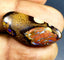 19.35 ct Fancy (29.84 x 13.63mm) Natural Australian Koroit Boulder Opal