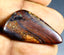 13.37 ct Pleasant Fancy (31.19 x 16.41mm) Natural Australian Boulder Opal
