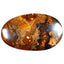 8.11 ct Oval Cabochon(21.12 x 13.14mm) Natural Australian Boulder Opal