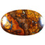 7.79 ct Pear Cabochon(18.77 x 11.49mm) Natural Australian Boulder Opal